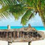 what is a wellness center