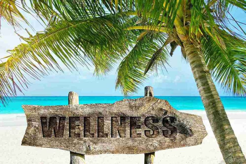 what is a wellness center